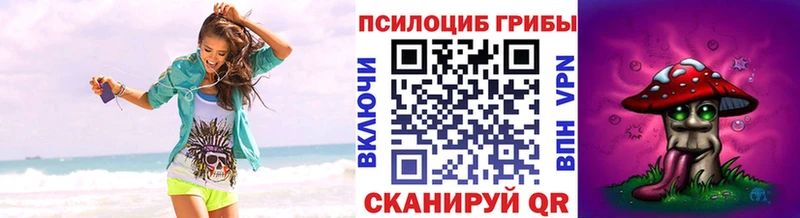 Псилоцибиновые грибы Psilocybine cubensis  Купить закладки  Будённовск 